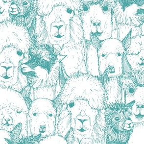 just alpacas teal white