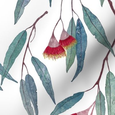 Eucalyptus leaves and flowers on white