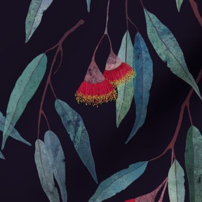 Eucalyptus leaves and flowers on dark