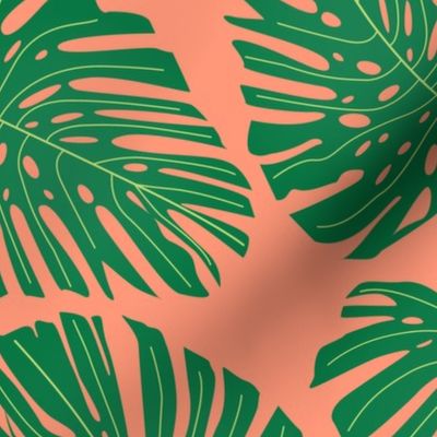 monstera