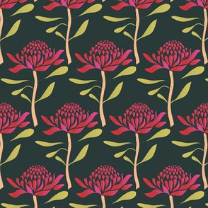 Waratah_dark