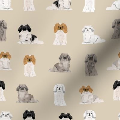 pekingese fabric - dogs pet dog design cute coat colors dog fabric - sand