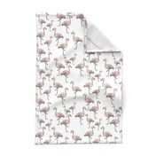 Pink Flamingos on White - Smaller Print