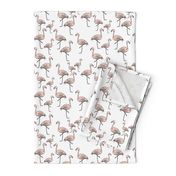 Pink Flamingos on White - Smaller Print