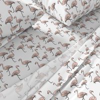 Pink Flamingos on White - Smaller Print