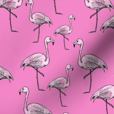 Brighter Pink Flamingos - Smaller Print