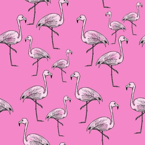 Brighter Pink Flamingos - Smaller Print