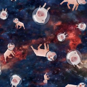 Piggies in Space 1