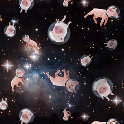 Piggies in Space 2