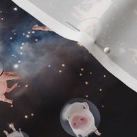 Piggies in Space 2