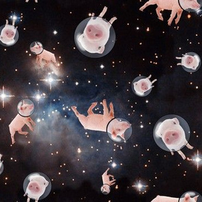 Piggies in Space 2