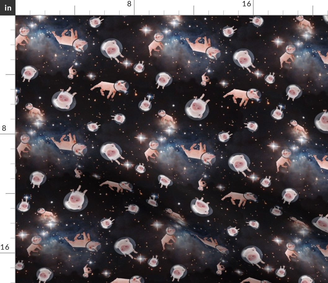 Piggies in Space 2