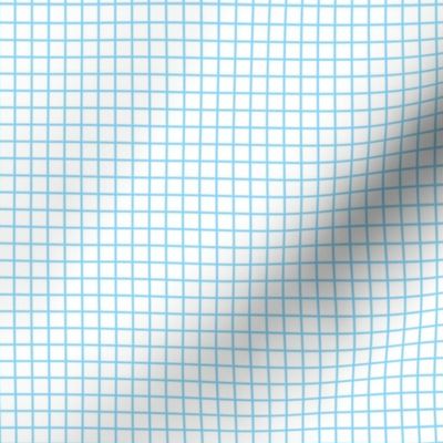 Lined Paper- Graph Paper