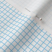 Lined Paper- Graph Paper