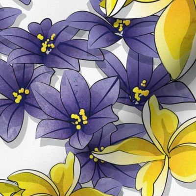 Complementary flowers 2 // white background yellow plumeria purple flowers