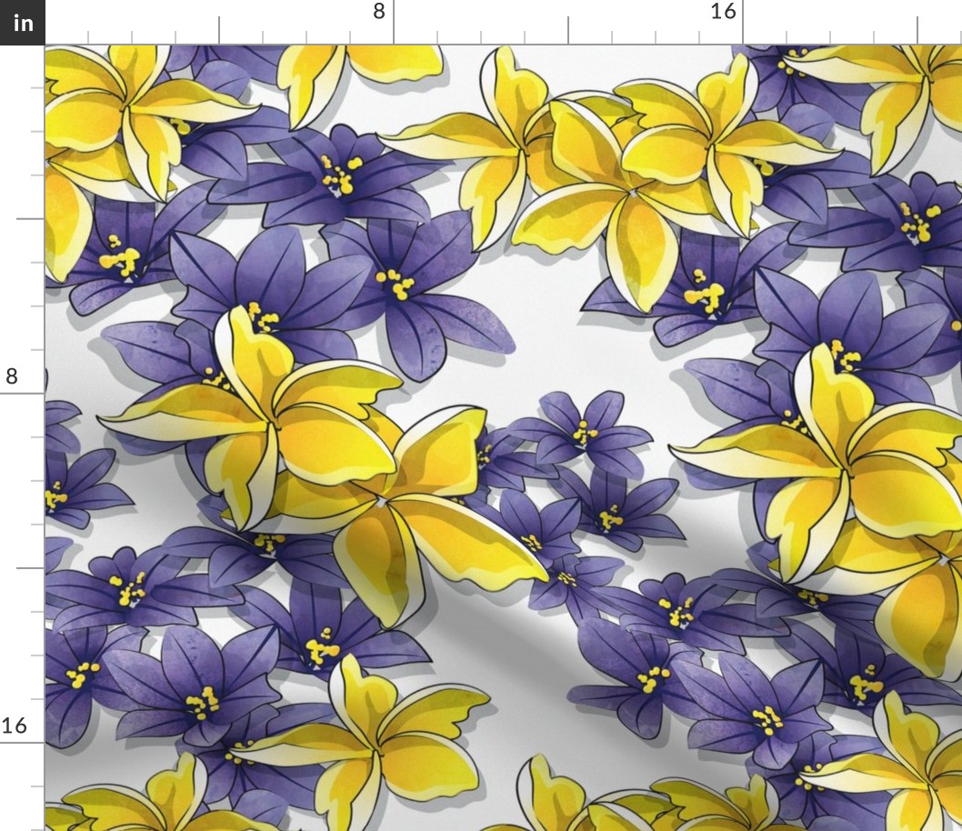 Complementary flowers 2 // white background yellow plumeria purple flowers