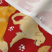 Trotting Golden Retrievers and paw prints - red