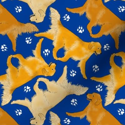 Trotting Golden Retrievers and paw prints - blue