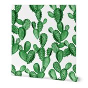 emerald paddle cactus // oversized