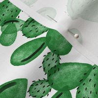emerald paddle cactus // small // rotated