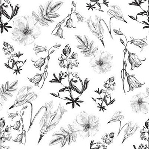 Wildflowers black and white large pattern