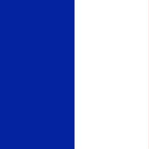 Flag of France - (54"x36")