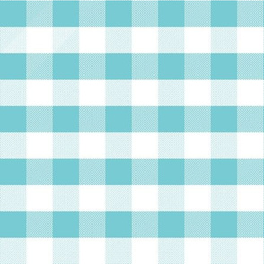 gingham turquoise fabric