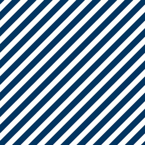 diagonal fabric navy  stripes fabric