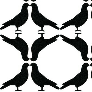Pigeon Circles-B&W