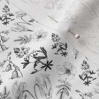 Wildflowers in black and white small print 