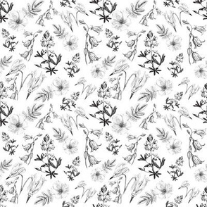 Wildflowers in black and white small print 