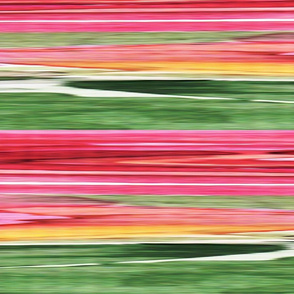 Abstract pattern  The red green 