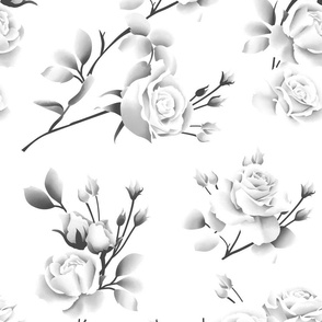 Spring Rose - White