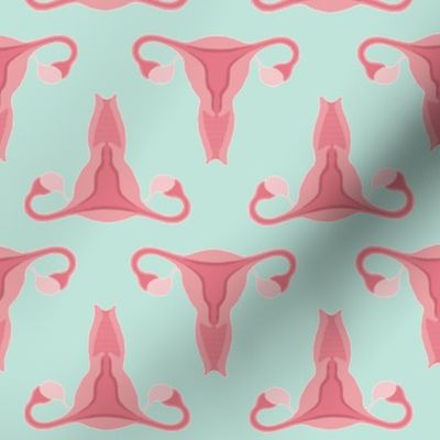 Uterus Green