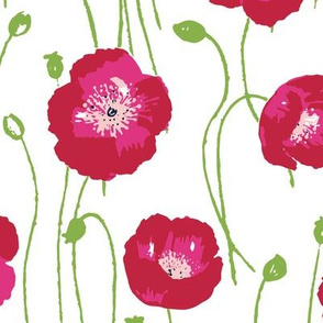 poppies -red