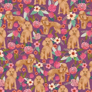 toy poodle fabric apricot toy poodle and florals design - amethyst