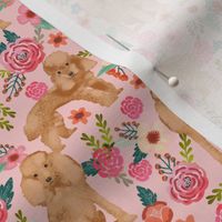 toy poodle fabric apricot toy poodle and florals design - light pink