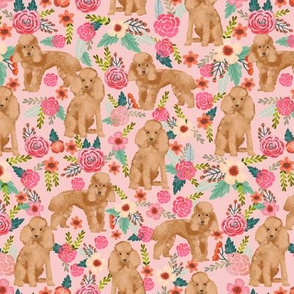 toy poodle fabric apricot toy poodle and florals design - light pink