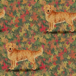 Golden Retriever on Autumn Leaves