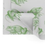 Frogs in Green