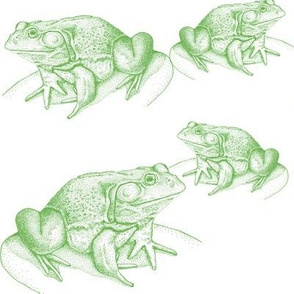 Frogs in Green