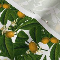 Lemon Botanical ~ White ~ Small