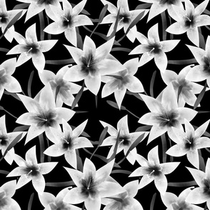 Beautiful black and white pattern with lily flowers