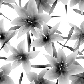 Beautiful black and white pattern with lily flowers