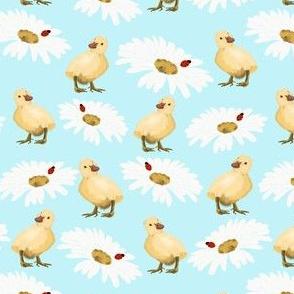 Baby ducks and Daisy's by Salzanos