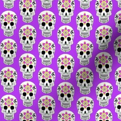 Albert Skull on purple 