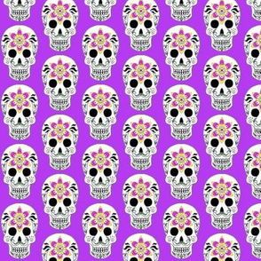 Albert Skull on purple 