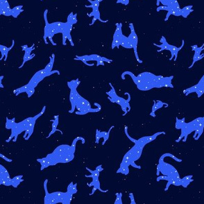 Constellation Cats