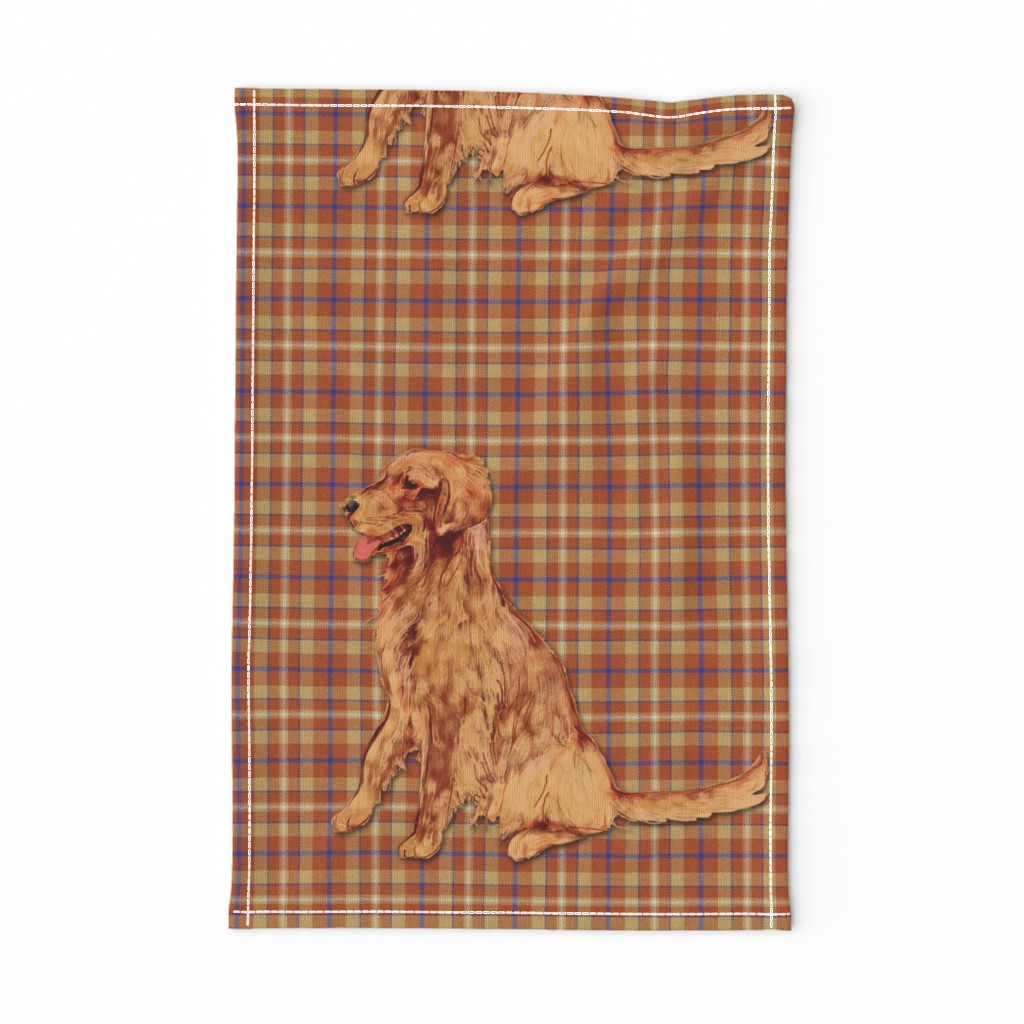 Golden Retriever on Plaid for Pillow