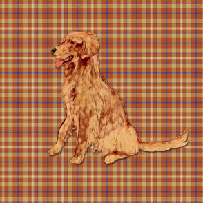 Golden Retriever on Plaid for Pillow